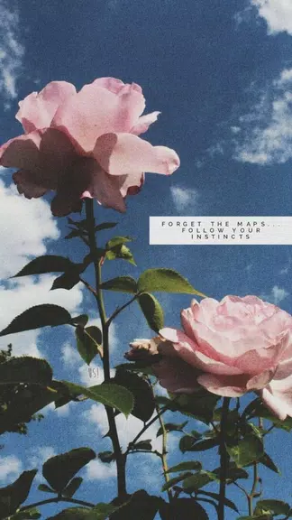 aesthetic background應用截圖第2張