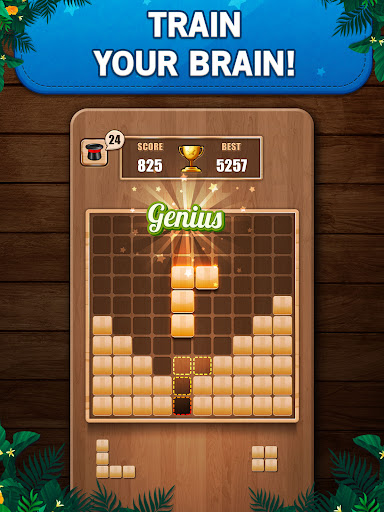 Wooden 100 Block Puzzle Game Screenshot 0