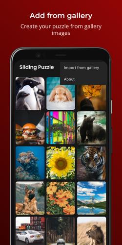 Sliding Puzzle應用截圖第3張