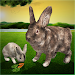 Ultimate Rabbit Simulator Game