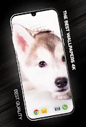 Puppies Wallpapers in 4K স্ক্রিনশট 0