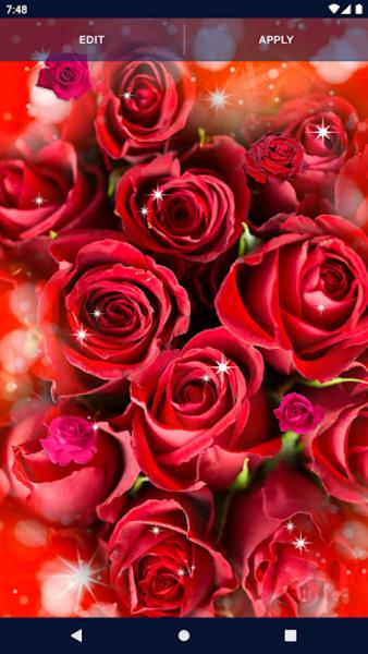 Red Rose Live Wallpaper স্ক্রিনশট 1