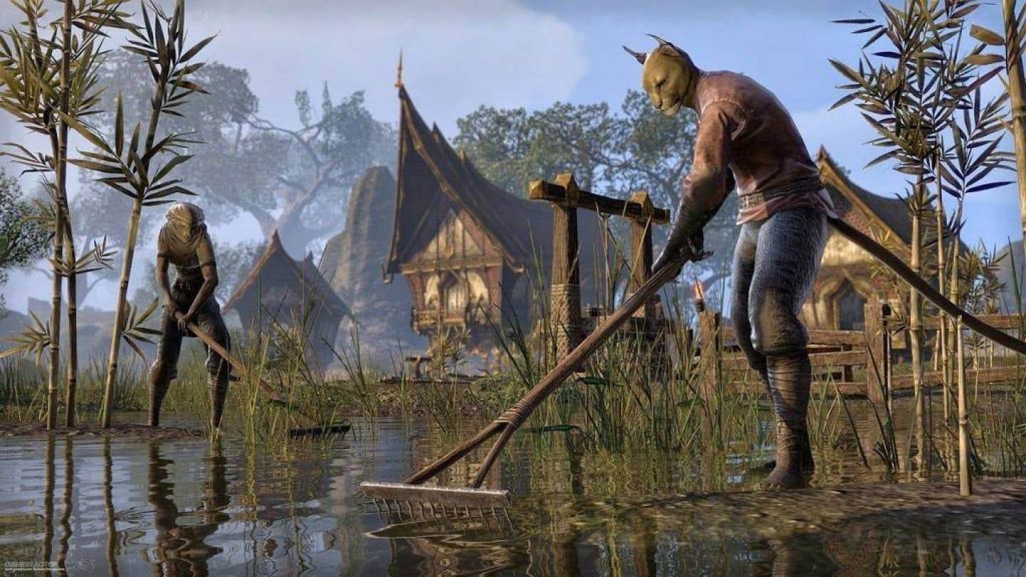 Gamer zahlt fast 100.000 US -Dollar, um Teil des Elder Scrolls VI zu sein