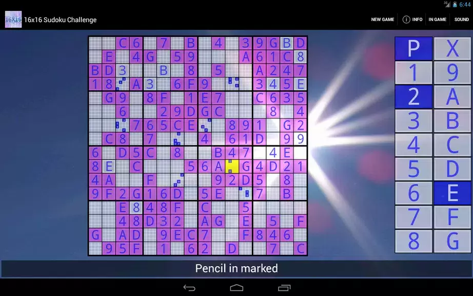 16x16 Sudoku Challenge HD Zrzut ekranu 2