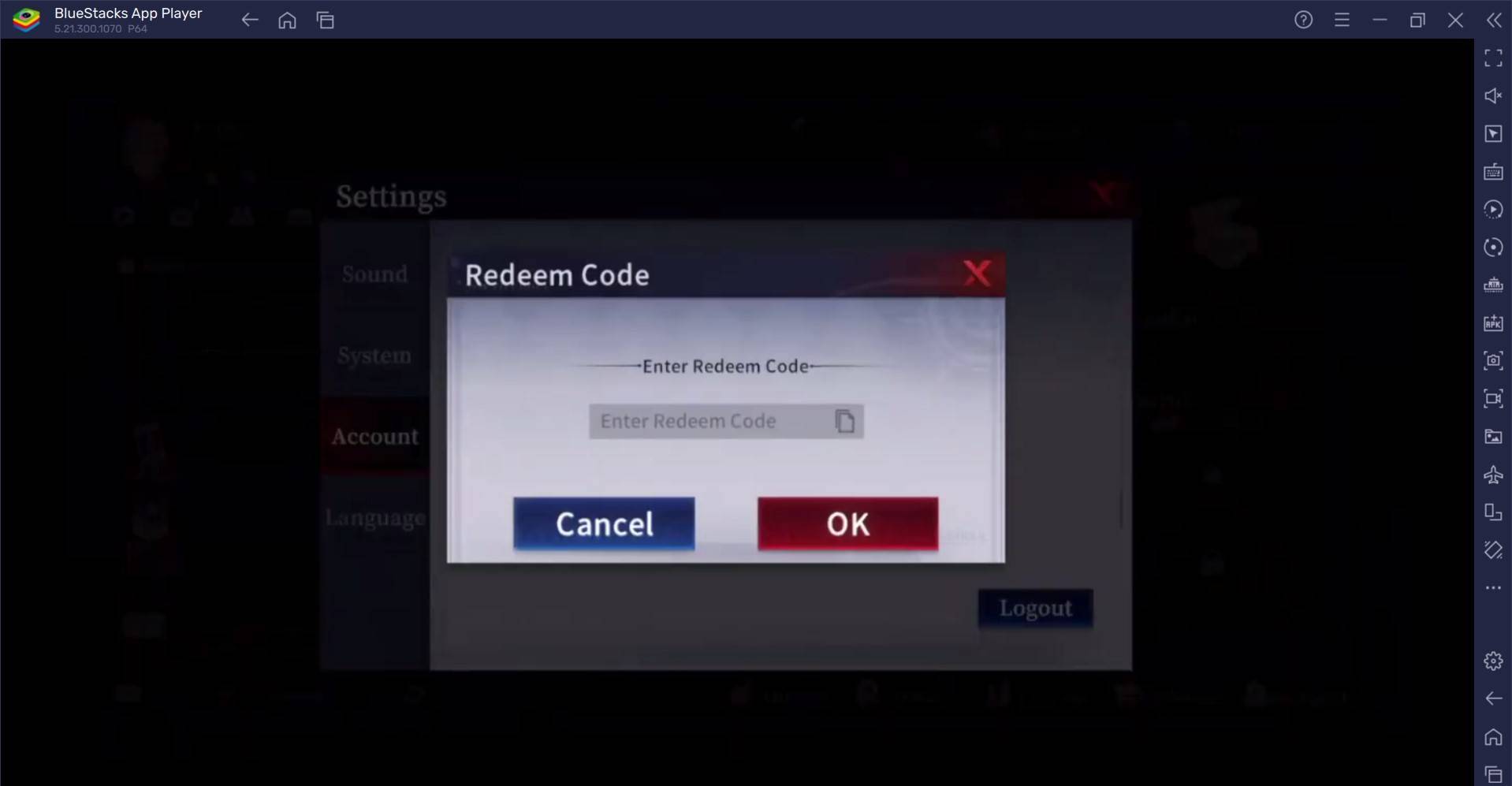 Redemption Code Input Screen