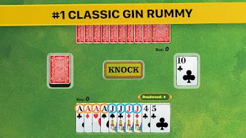 Gin Rummy * স্ক্রিনশট 1