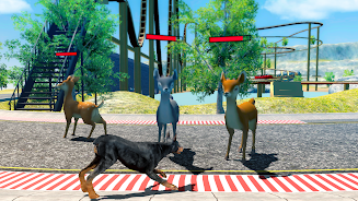 Doberman Dog Simulator Captura de pantalla 1