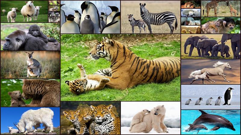 Baby Animal Jigsaw Puzzles Tangkapan skrin 0