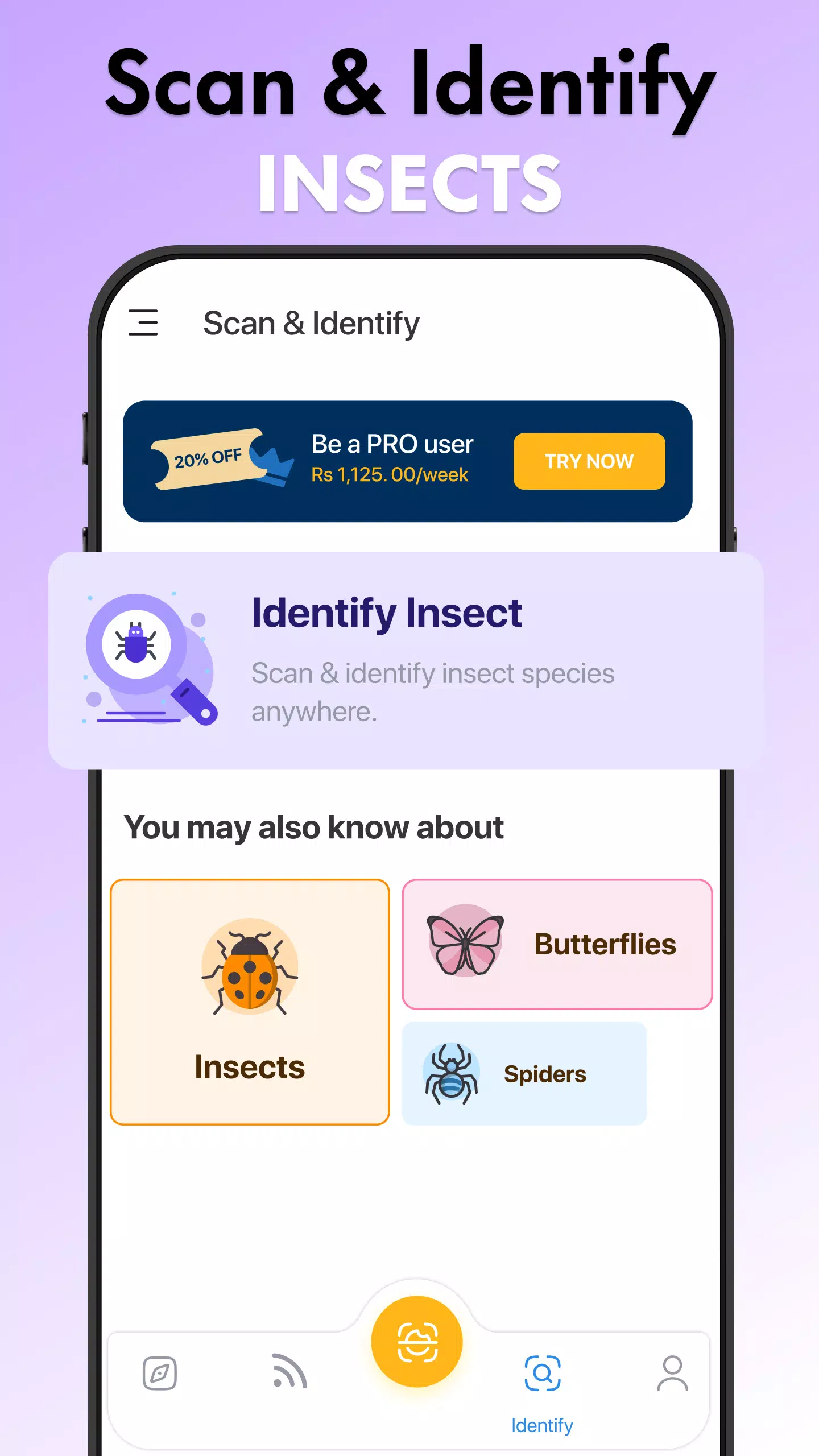 Insect Identifier Bug Identify 스크린샷 3