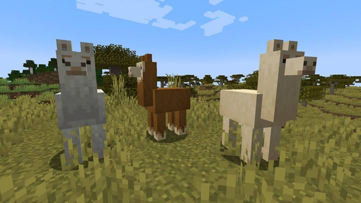 Lamas in Minecraft