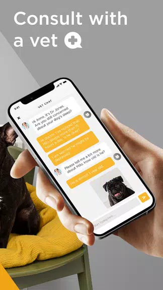 Petcube Screenshot 3