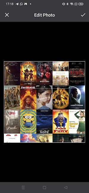 FlixFox apk per Android