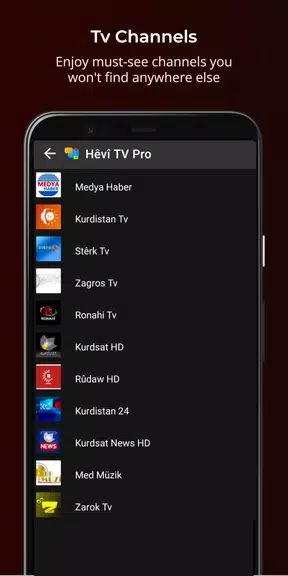 Hêvî TV Pro Capture d'écran 3