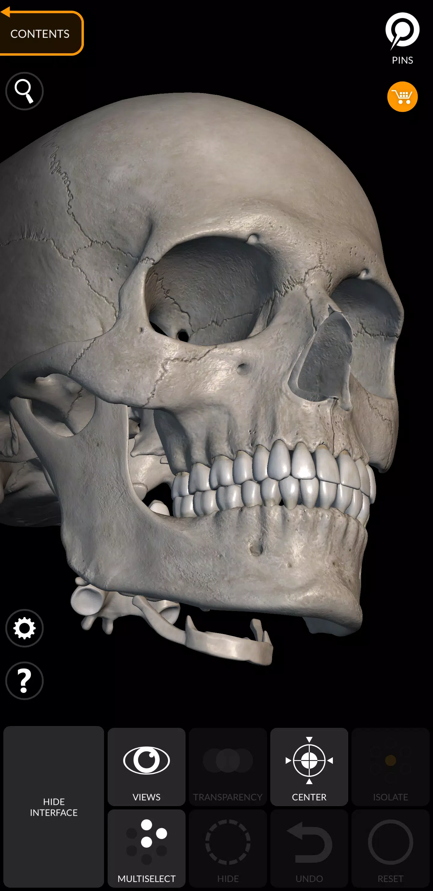 Schermata Skeleton 3