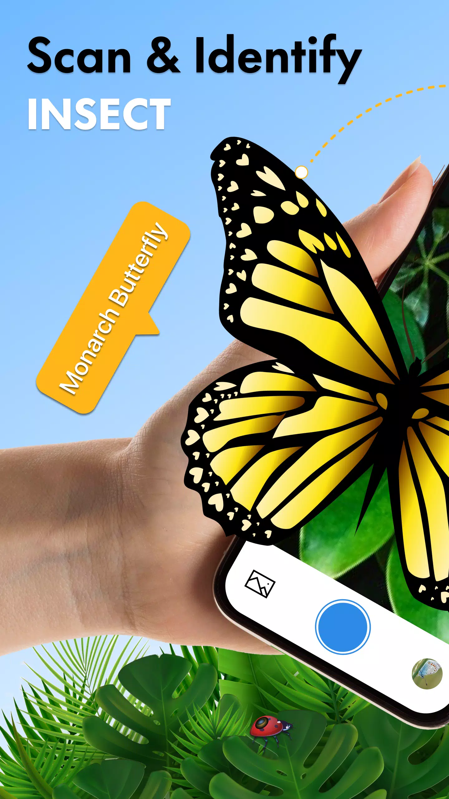 Insect Identifier Bug Identify 스크린샷 0