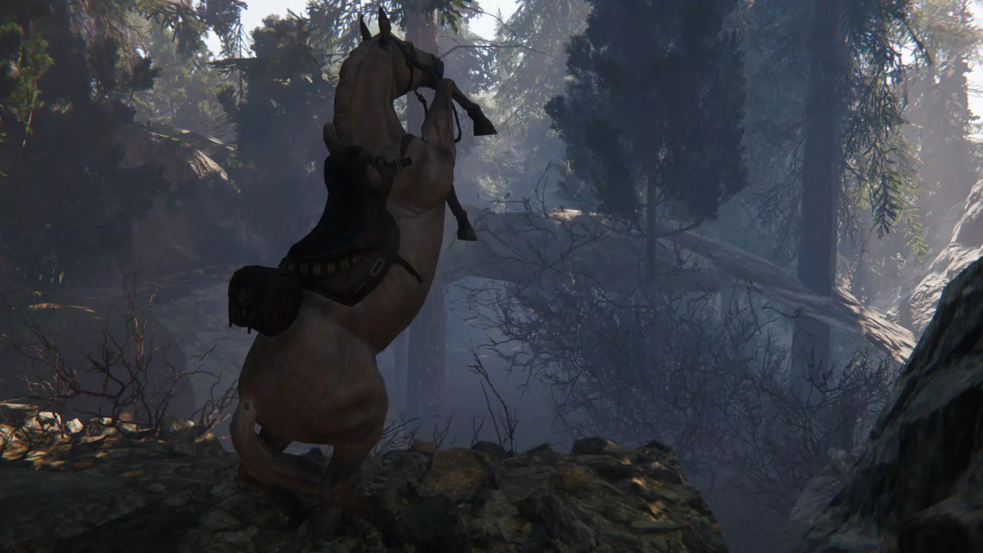 Spirit Horse: Woodland Trails Screenshot 3