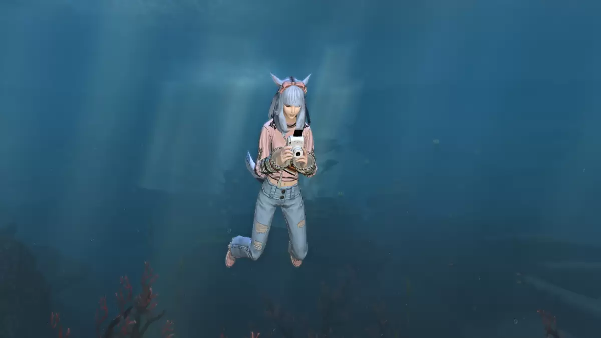 照片在FFXIV中的水下圖片