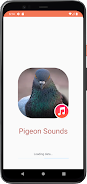 Pigeon Sounds ภาพหน้าจอ 0