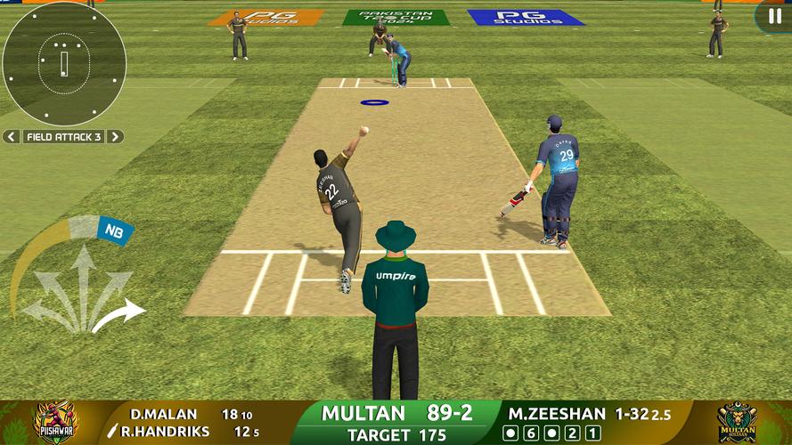 Cricket Game: Pakistan T20 Cup Ekran Görüntüsü 1