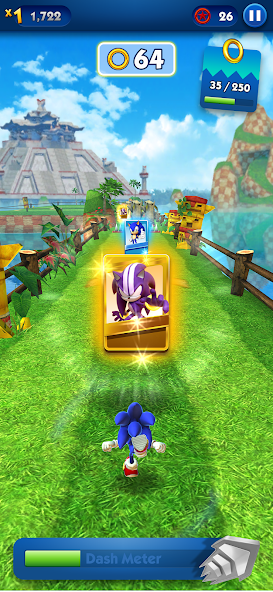 Sonic Dash - Endless Running Screenshot 3