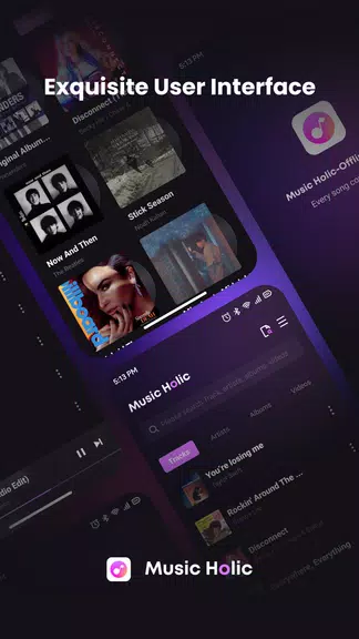 Music Holic-Offline Music Скриншот 2