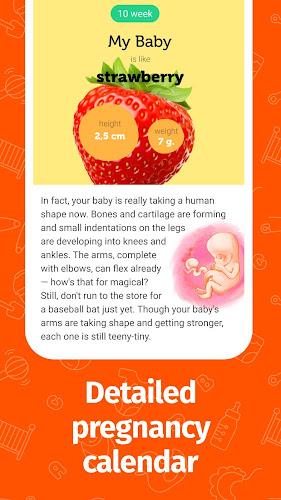 Pregnancy App and Baby Tracker Captura de pantalla 2