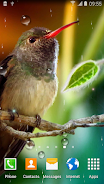 Hummingbirds Live Wallpaper ဖန်သားပြင်ဓာတ်ပုံ 0