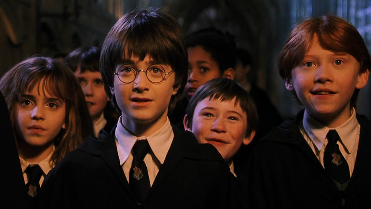 Wizarding World Viewing Order