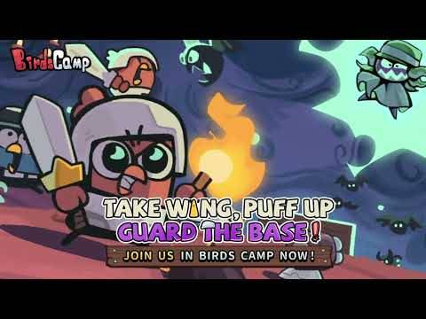 Birds Camp gameplay screenshot