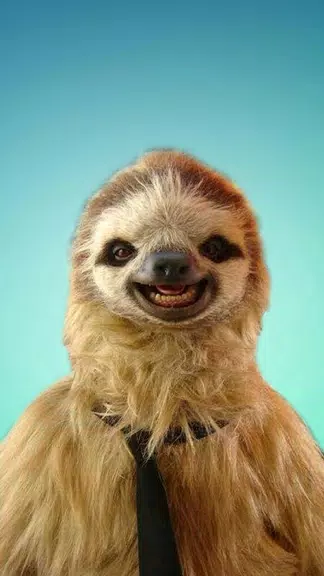 Sloth Wallpapers Schermafbeelding 0