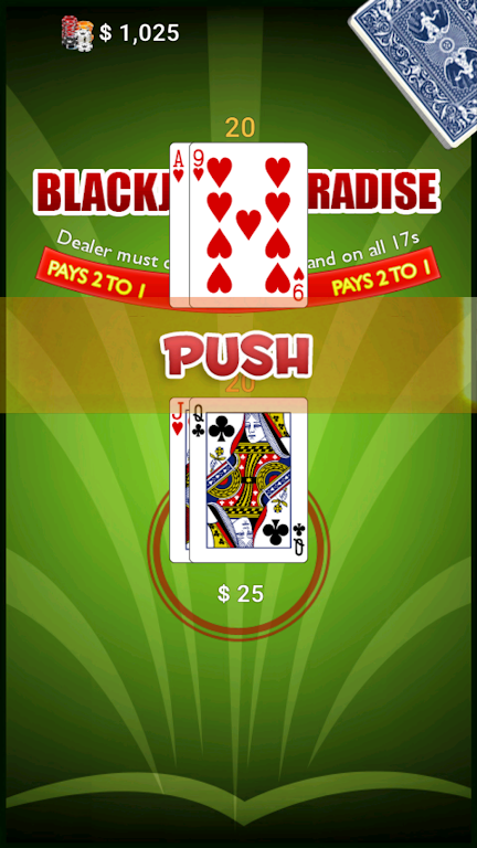 BlackJack Paradise स्क्रीनशॉट 2