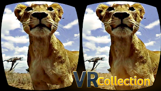 Pack of VR videos ဖန်သားပြင်ဓာတ်ပုံ 2