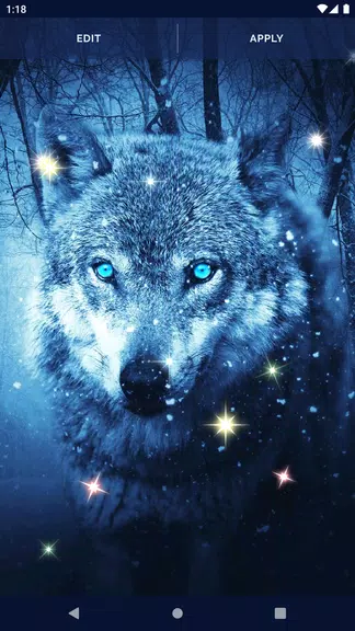 Night Wolf Live Wallpaper ภาพหน้าจอ 3