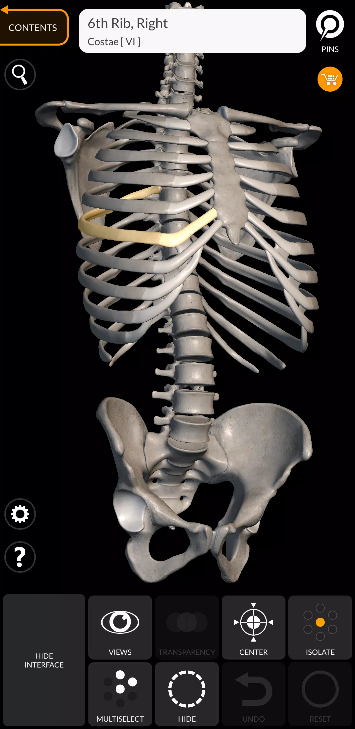 Schermata Skeleton 0