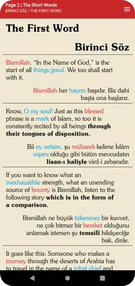 Risale-i Nur (Comparative) Captura de tela 2