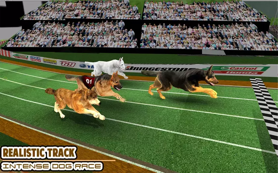 Dog racing games - dog game 3d Capture d'écran 0