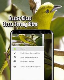 Suara Burung Sirtu Pikat MP3 Offline Screenshot 0