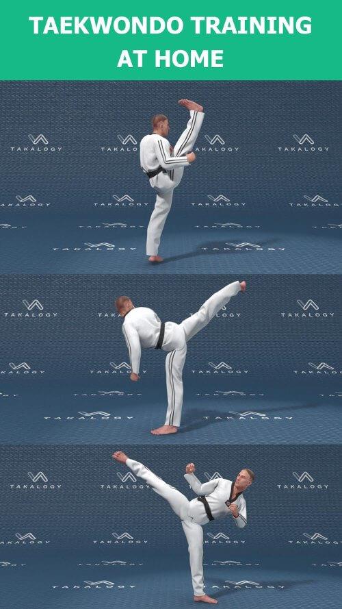 Schermata Mastering Taekwondo at Home 1