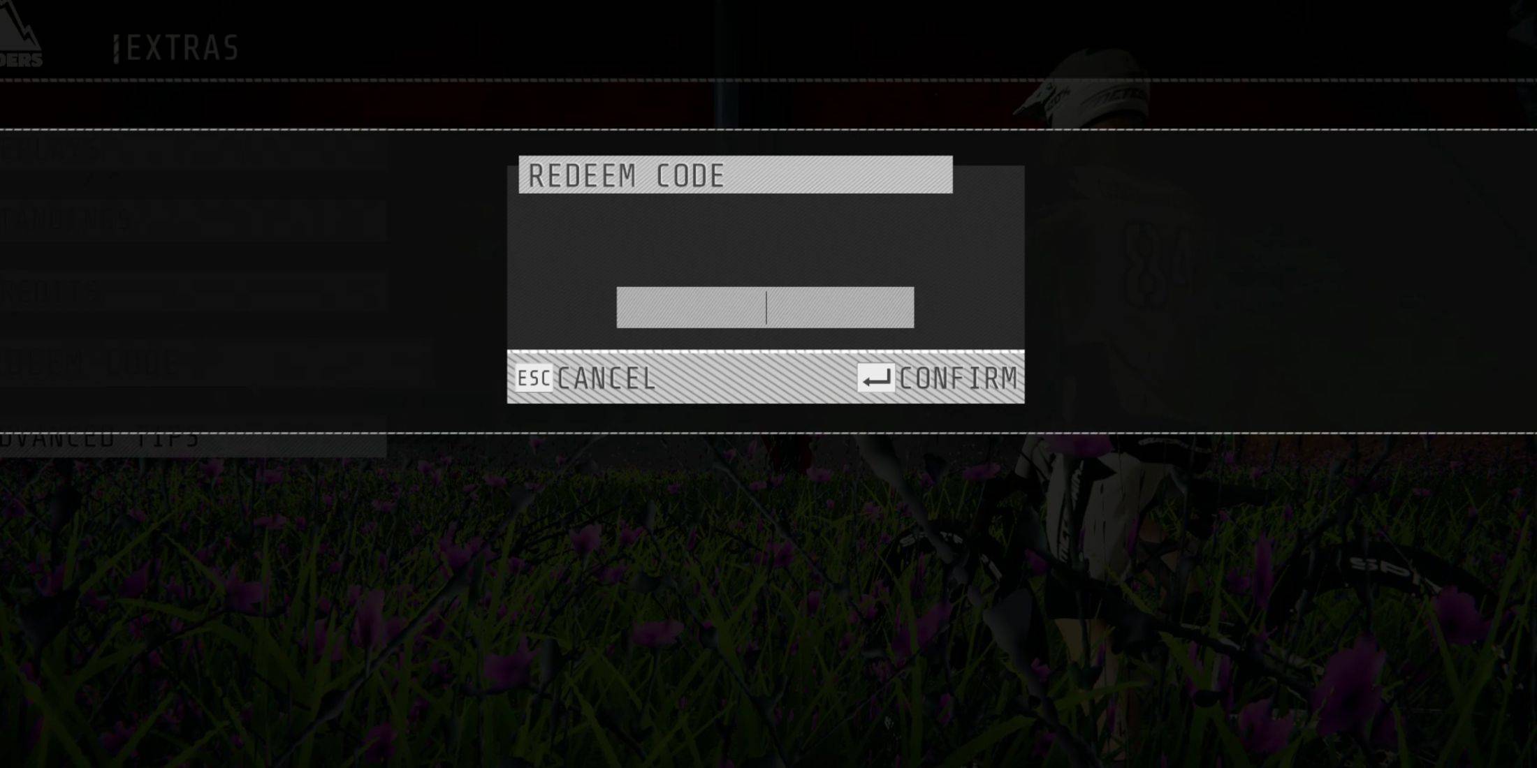 Descenders Code Redemption Menu