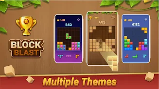 Block Puzzle - Wood Blast应用截图第3张