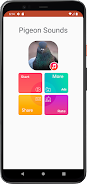 Pigeon Sounds ภาพหน้าจอ 1