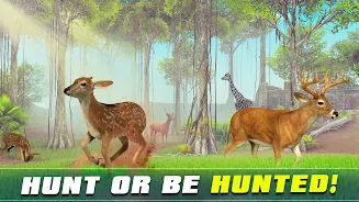 Safari Animal Hunter Simulator Скриншот 3