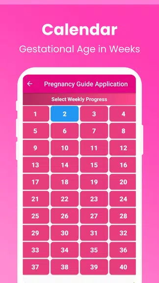 Pregnancy Guide - A Mom ภาพหน้าจอ 3