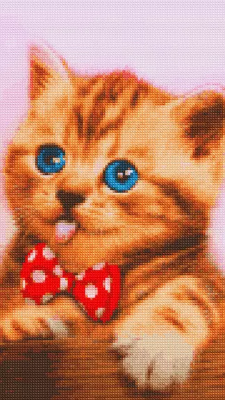 Cross stitch pixel art game Ekran Görüntüsü 0