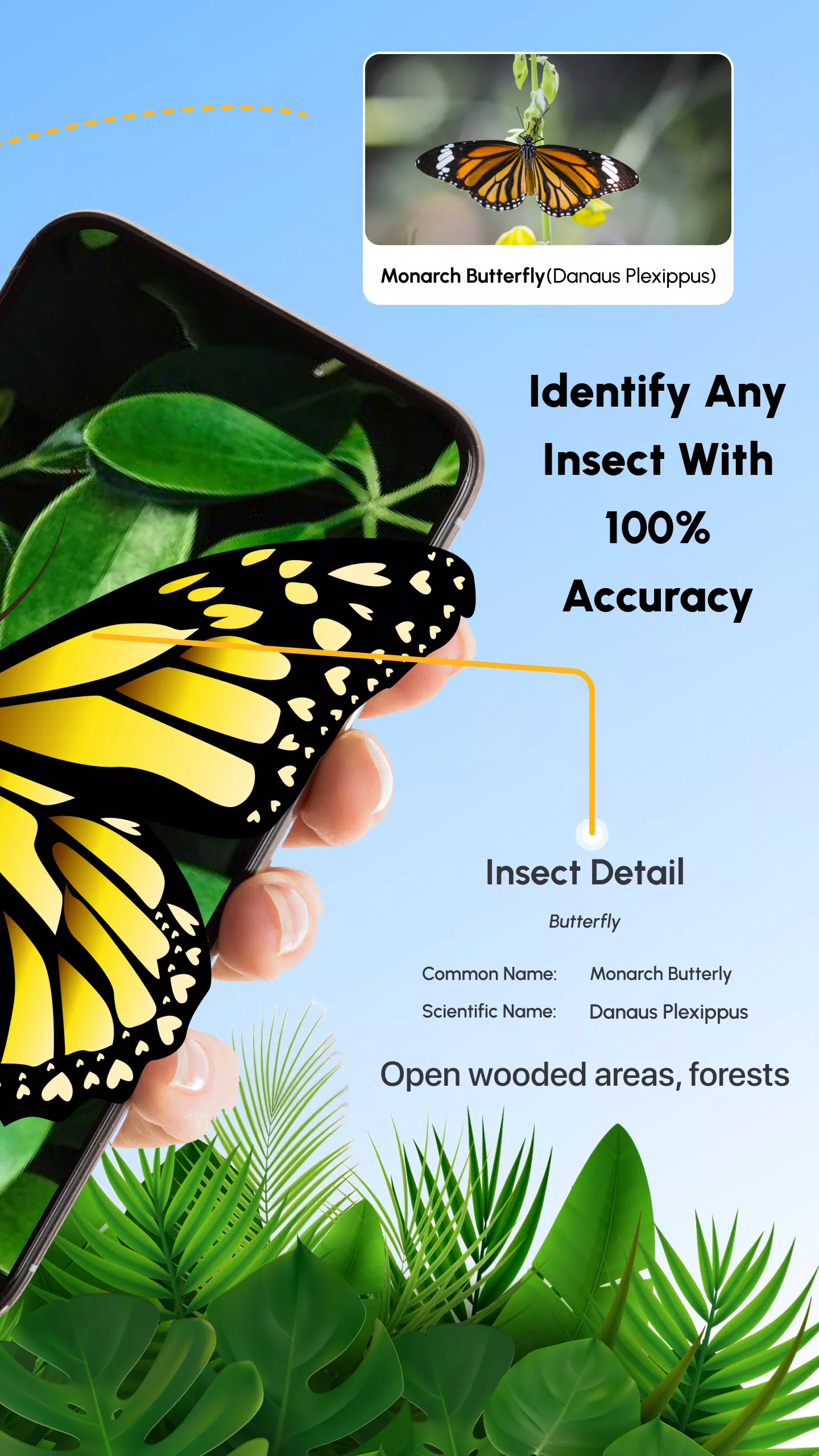 Insect Identifier Bug Identify 스크린샷 1