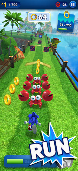 Sonic Dash - Endless Running Screenshot 0