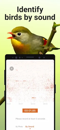 Picture Bird Screenshot 3