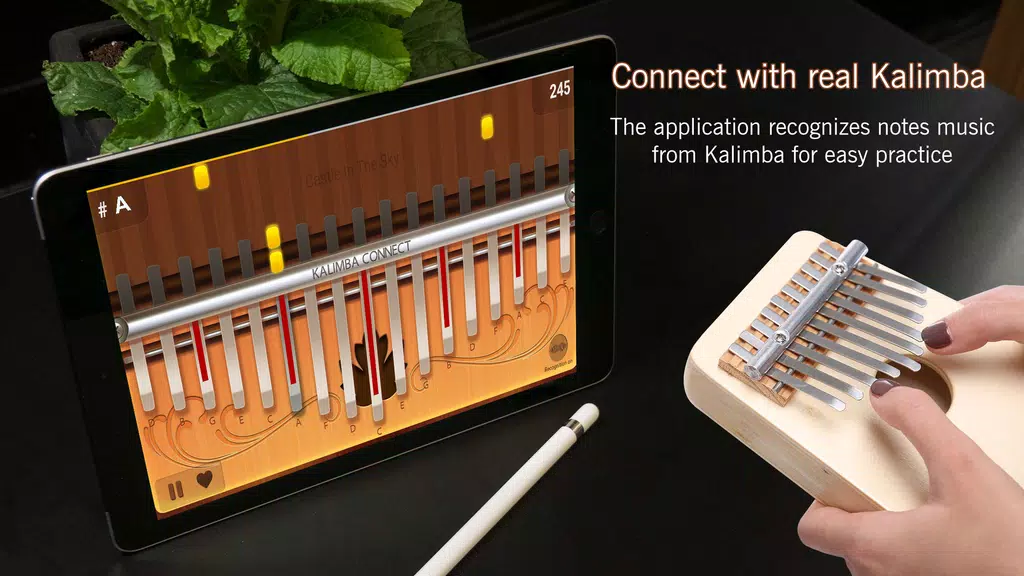 Kalimba Connect ภาพหน้าจอ 0