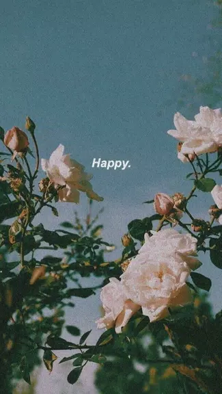 aesthetic background應用截圖第0張