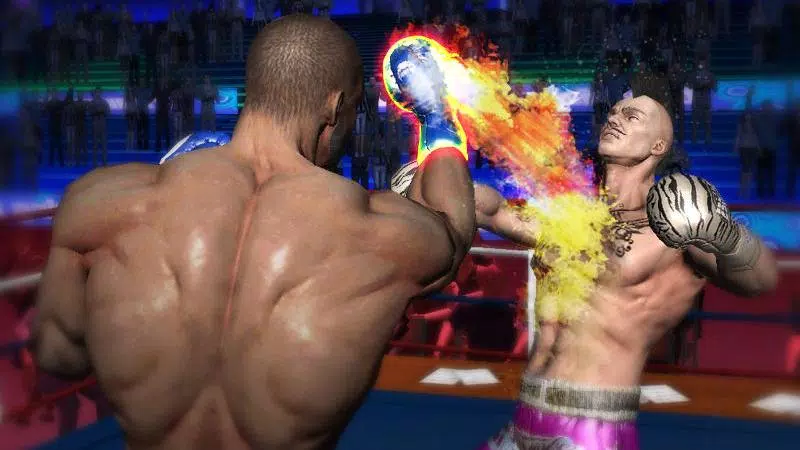 Punch Boxing 3D Screenshot 3